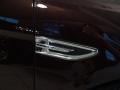 Cinnamon Red Metallic - Taurus SHO AWD Photo No. 4