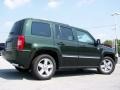 2010 Natural Green Pearl Jeep Patriot Latitude 4x4  photo #7