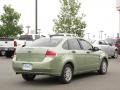 2008 Kiwi Green Ford Focus SE Sedan  photo #3