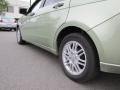 Kiwi Green - Focus SE Sedan Photo No. 13