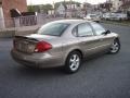 Arizona Beige Metallic - Taurus SES Photo No. 3