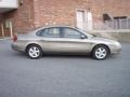Arizona Beige Metallic - Taurus SES Photo No. 11