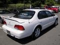 Cloud White - Maxima GXE Photo No. 4