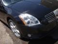 Onyx Black - Maxima 3.5 SE Photo No. 19