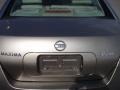 Spirited Bronze Pearl - Maxima 3.5 SE Photo No. 14
