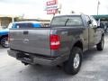 2006 Dark Shadow Grey Metallic Ford F150 STX SuperCab 4x4  photo #5