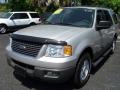 2005 Silver Birch Metallic Ford Expedition XLT  photo #1