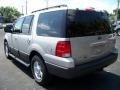 2005 Silver Birch Metallic Ford Expedition XLT  photo #7