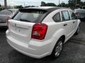 Stone White - Caliber SXT Photo No. 7