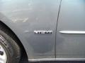 Silver Steel Metallic - Charger R/T Photo No. 7