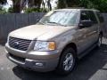 Arizona Beige Metallic - Expedition XLT Photo No. 1