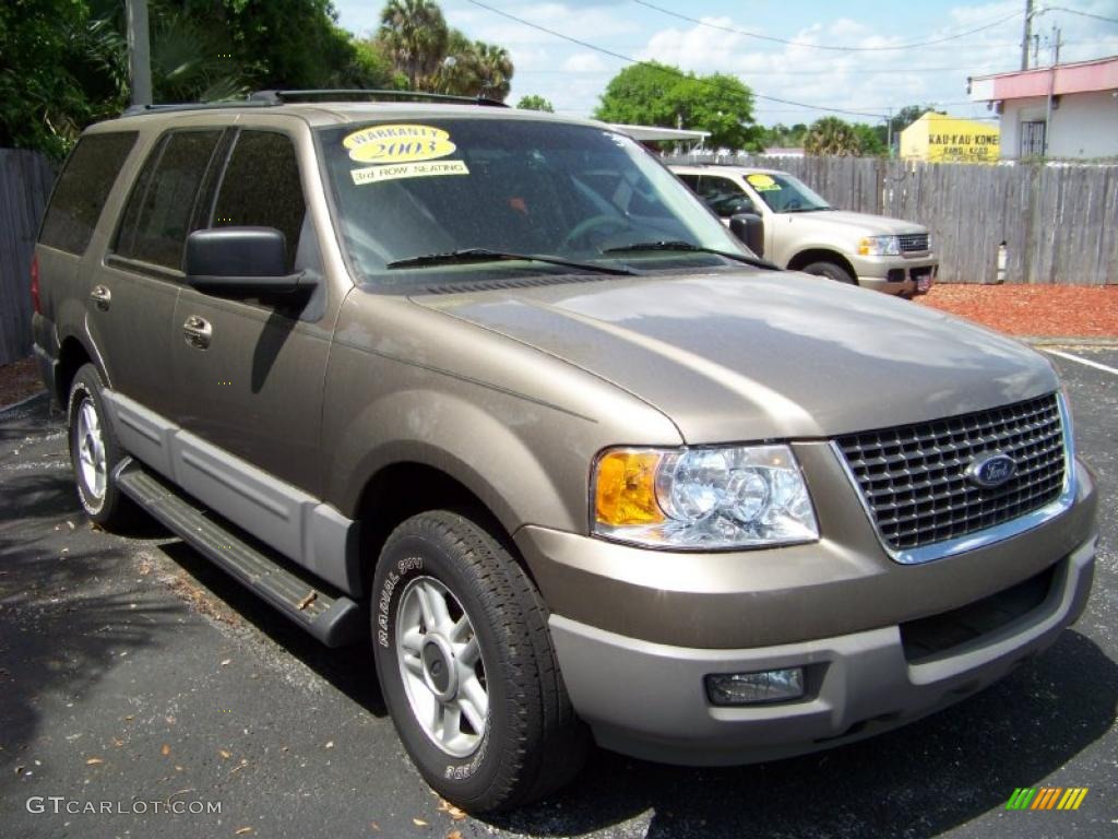 2003 Expedition XLT - Arizona Beige Metallic / Medium Parchment photo #3