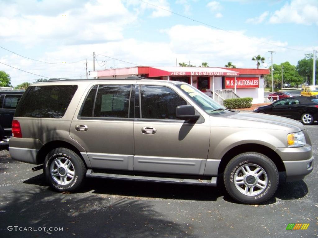 2003 Expedition XLT - Arizona Beige Metallic / Medium Parchment photo #4