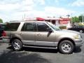 Arizona Beige Metallic - Expedition XLT Photo No. 4