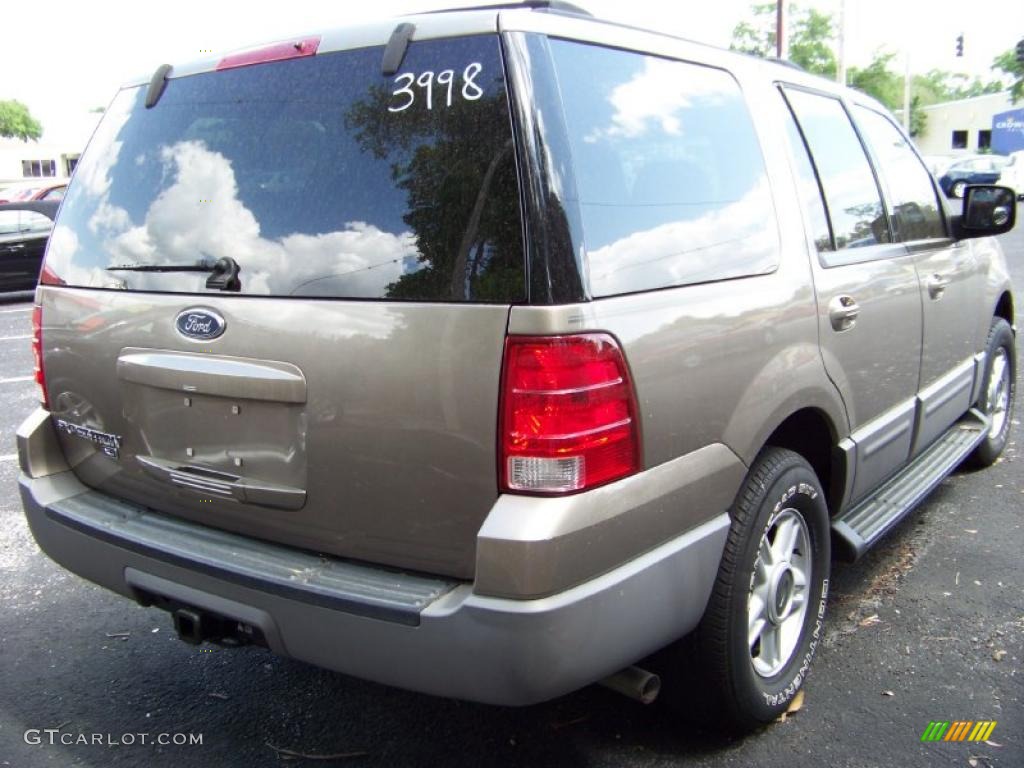 2003 Expedition XLT - Arizona Beige Metallic / Medium Parchment photo #5