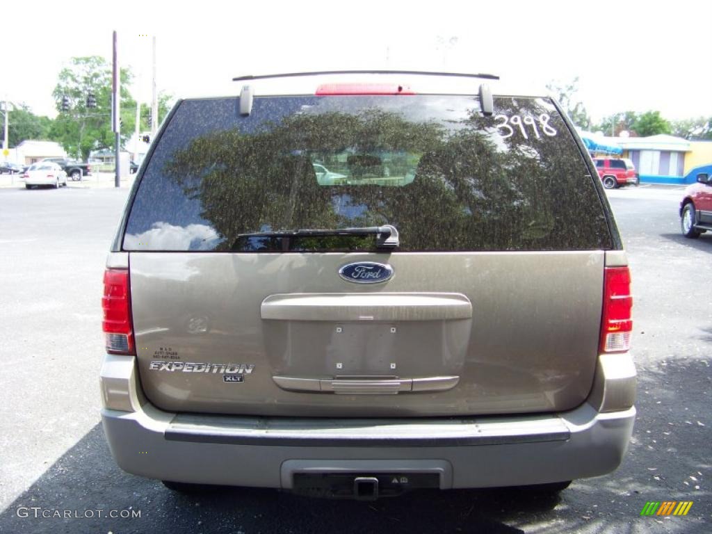 2003 Expedition XLT - Arizona Beige Metallic / Medium Parchment photo #6