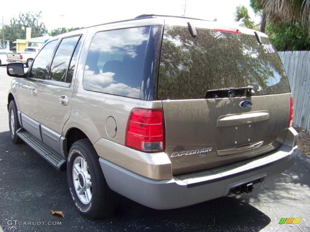 2003 Expedition XLT - Arizona Beige Metallic / Medium Parchment photo #7