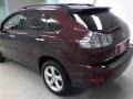 2008 Brandywine Mica Lexus RX 350  photo #6