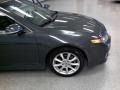 Carbon Gray Pearl - TSX Sedan Photo No. 10