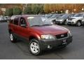 2007 Redfire Metallic Ford Escape XLT V6 4WD  photo #3