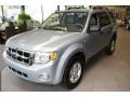 Silver Metallic - Escape Hybrid 4WD Photo No. 1