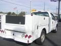 Oxford White - F250 Super Duty XL Regular Cab Chassis Utility Photo No. 3
