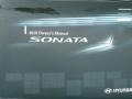Pearl White - Sonata GLS Photo No. 22