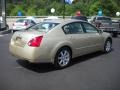 Champagne Mist Metallic - Maxima 3.5 SL Photo No. 5