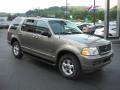 2002 Mineral Grey Metallic Ford Explorer XLT 4x4  photo #3