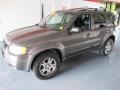 2003 Dark Shadow Grey Metallic Ford Escape Limited  photo #3