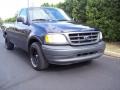 True Blue Metallic - F150 XL Regular Cab Photo No. 3