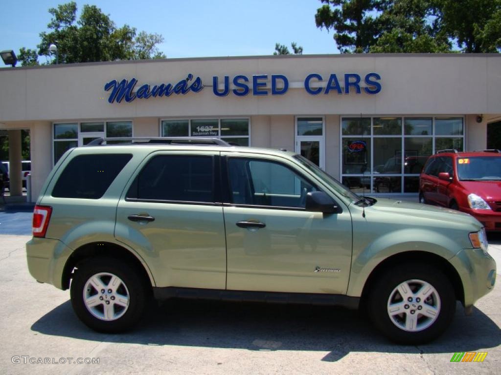 Kiwi Green Metallic Ford Escape