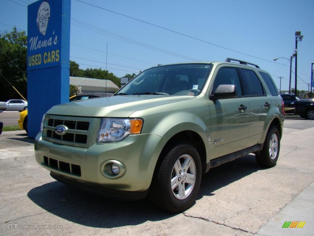 2009 Escape Hybrid 4WD - Kiwi Green Metallic / Stone photo #4