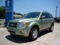 2009 Kiwi Green Metallic Ford Escape Hybrid 4WD  photo #4