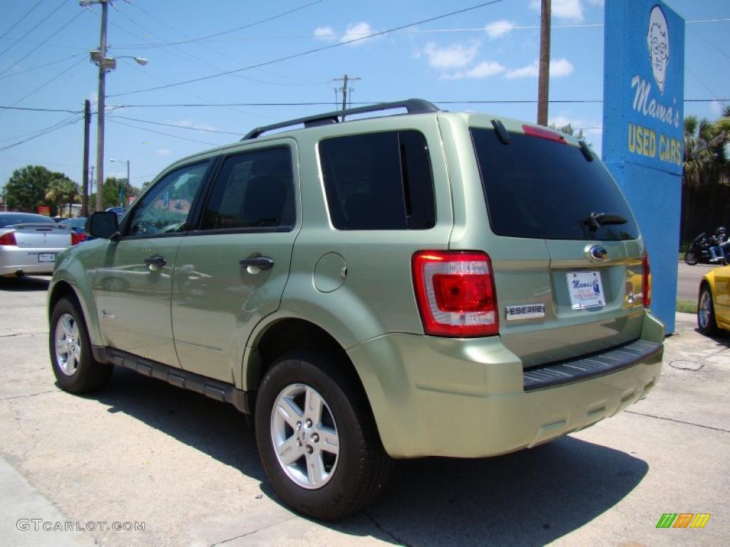2009 Escape Hybrid 4WD - Kiwi Green Metallic / Stone photo #6