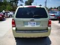 2009 Kiwi Green Metallic Ford Escape Hybrid 4WD  photo #7