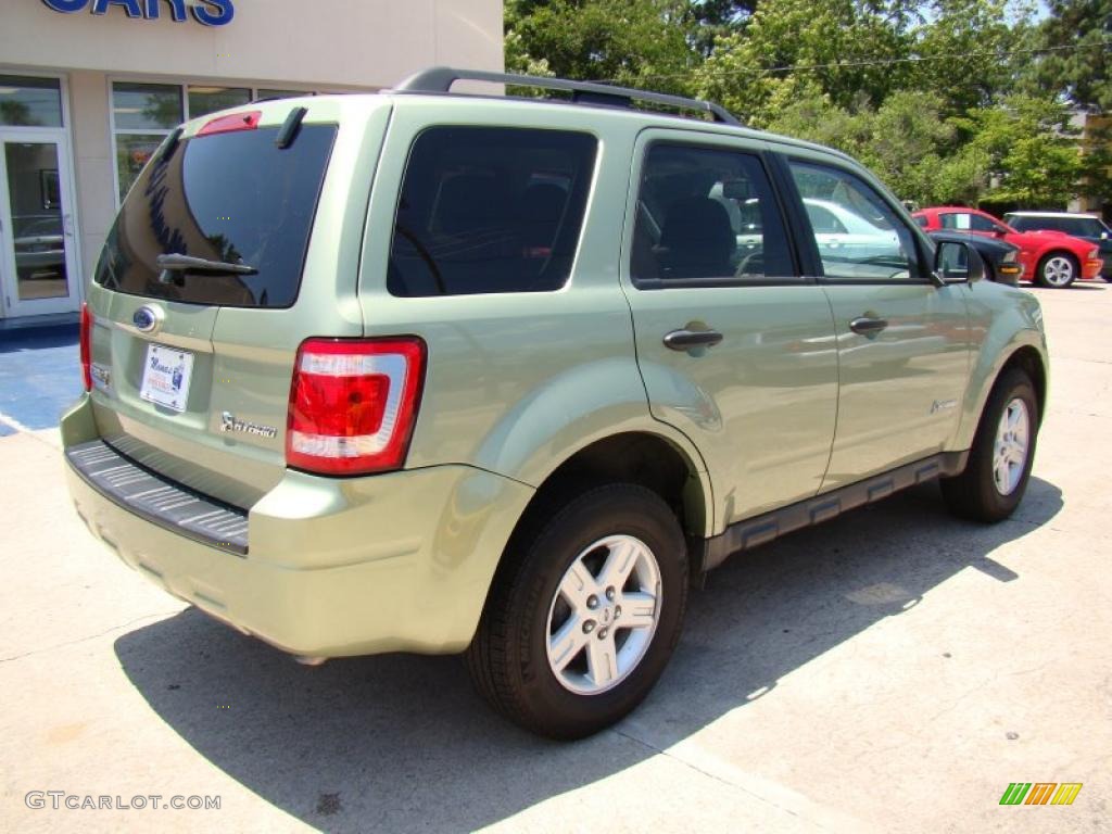 2009 Escape Hybrid 4WD - Kiwi Green Metallic / Stone photo #8