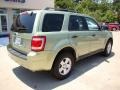 2009 Kiwi Green Metallic Ford Escape Hybrid 4WD  photo #8