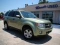 2009 Kiwi Green Metallic Ford Escape Hybrid 4WD  photo #33