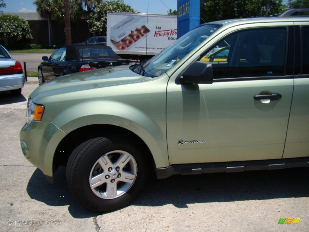 2009 Escape Hybrid 4WD - Kiwi Green Metallic / Stone photo #35