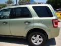 2009 Kiwi Green Metallic Ford Escape Hybrid 4WD  photo #36