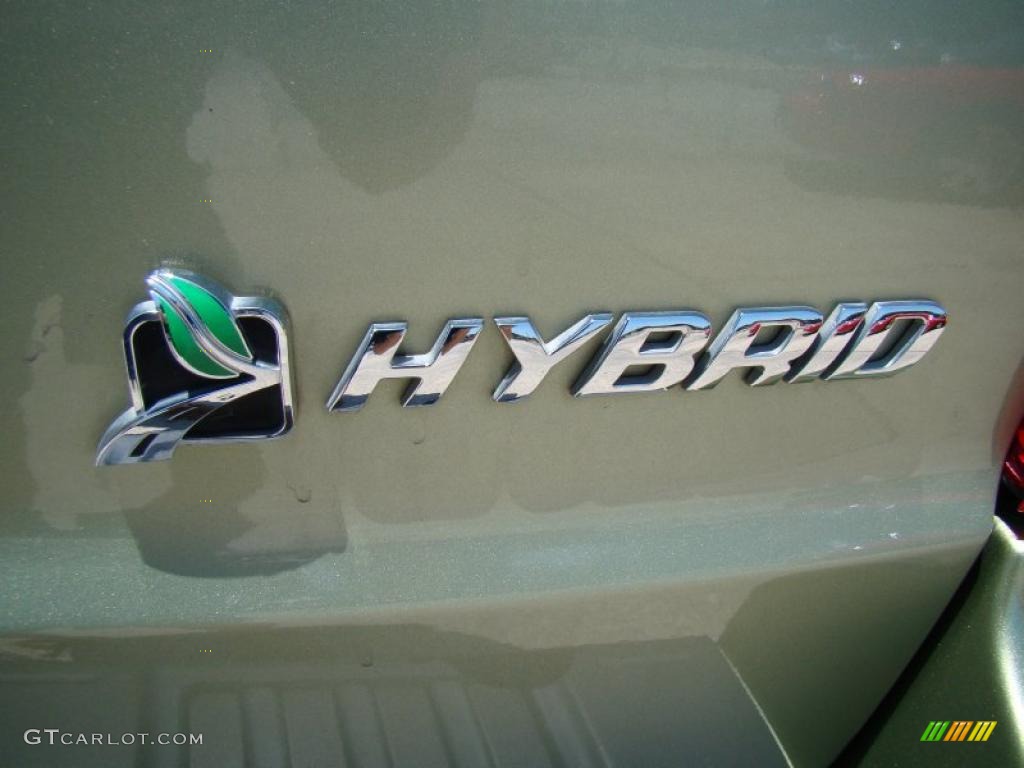 2009 Escape Hybrid 4WD - Kiwi Green Metallic / Stone photo #39