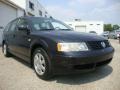 Black Magic Pearl - Passat GLS Wagon Photo No. 5