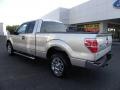 2010 Ingot Silver Metallic Ford F150 XLT SuperCab  photo #26