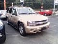 Sandstone Metallic - TrailBlazer LS 4x4 Photo No. 2
