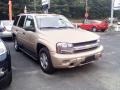 2006 Sandstone Metallic Chevrolet TrailBlazer LS 4x4  photo #2