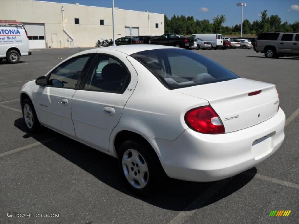 2001 Neon SE - Stone White / Dark Slate Gray photo #2