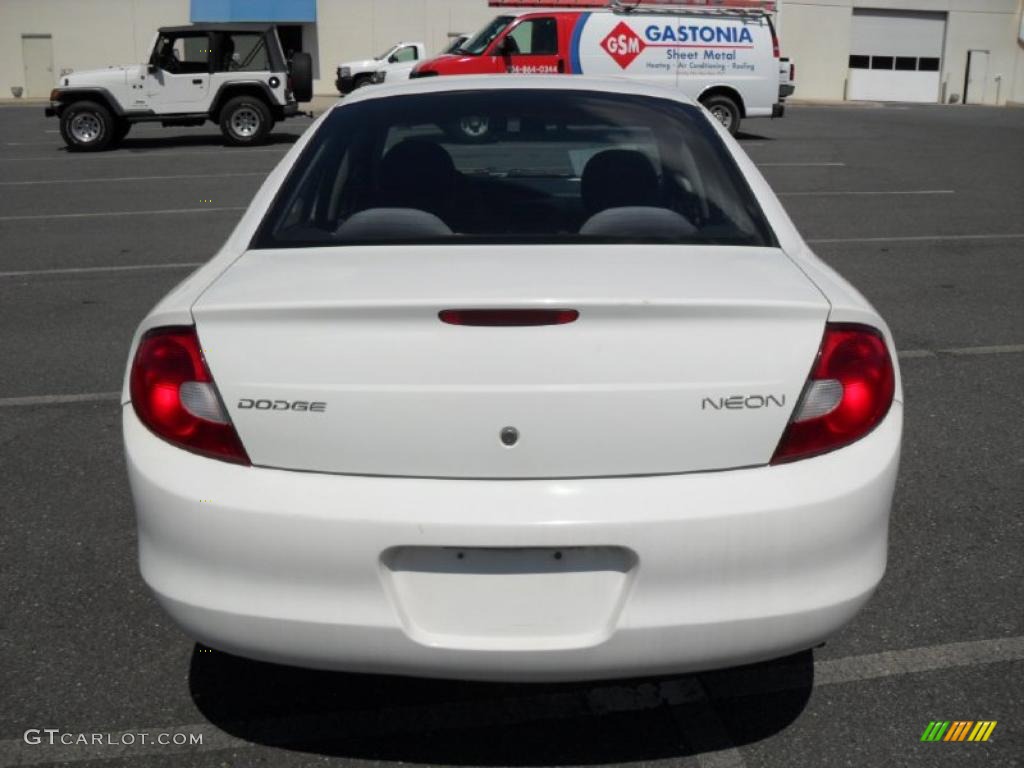 2001 Neon SE - Stone White / Dark Slate Gray photo #3