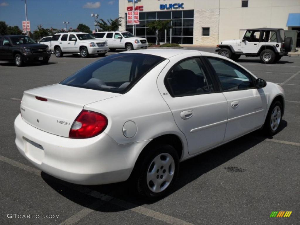 2001 Neon SE - Stone White / Dark Slate Gray photo #4