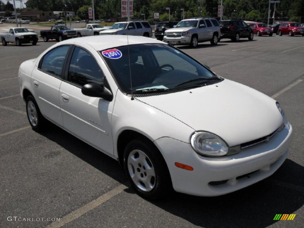 2001 Neon SE - Stone White / Dark Slate Gray photo #5